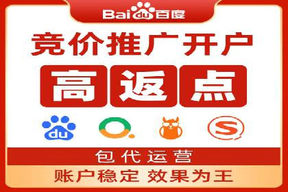 成功SEM竞价托管案例分析报告